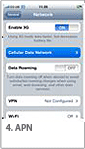 4. APN